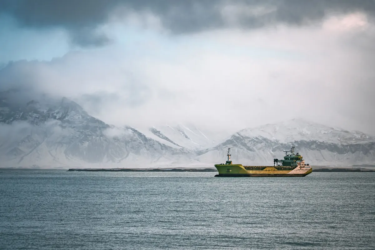 Nordic Shipping case study — Henson's Consulting
